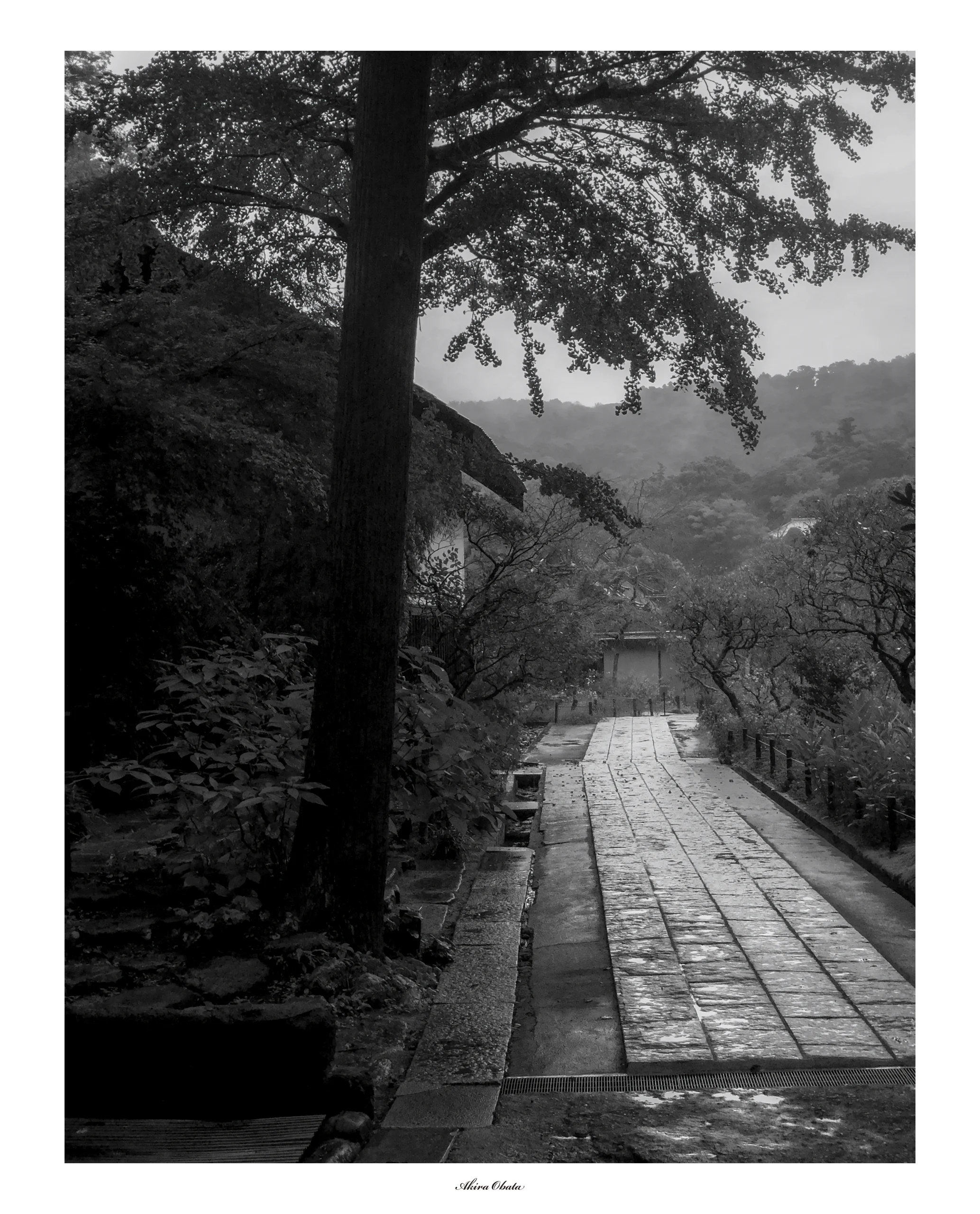 初秋　雨の東慶寺
